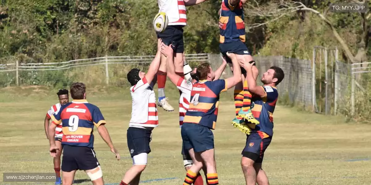 🎁 限量版周边,用细节诠释你对体育的极致热爱!🎲